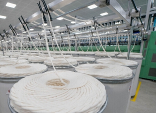 مصر تستعد لافتتاح أكبر مصنع من نوعه في العالم 